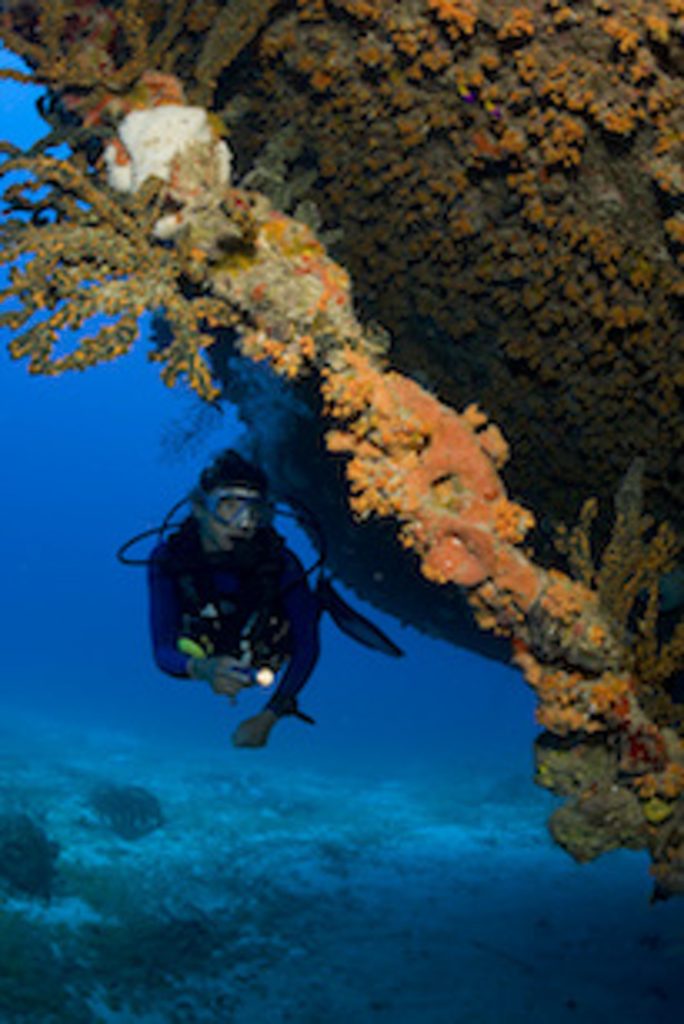 Scuba diver Cristina Zenato on Theo's Wreck, Freeport, Grand Bahama